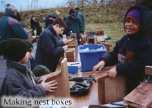 NestBoxes