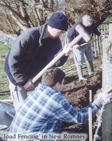 ToadFencing