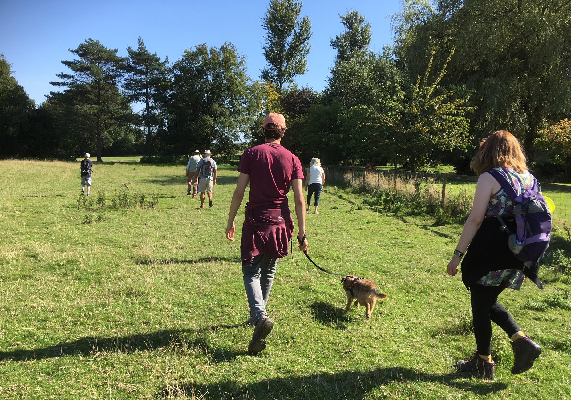 Guided walk near Ham Street Woods