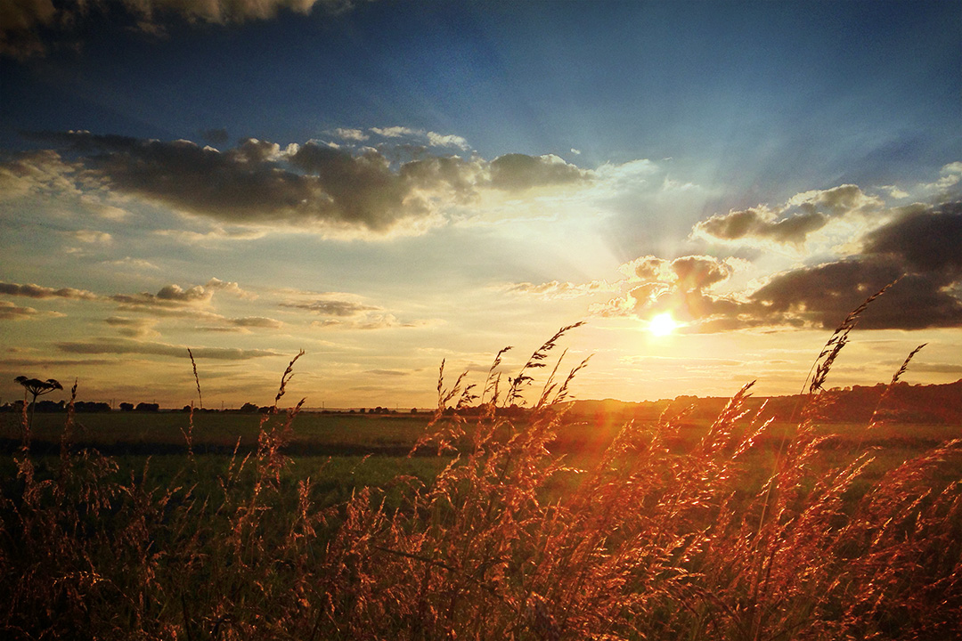 Romney Marsh Countryside Partnership - RMCP